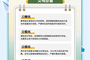  季末赛期间的伤病预防与处理措施：全面指南